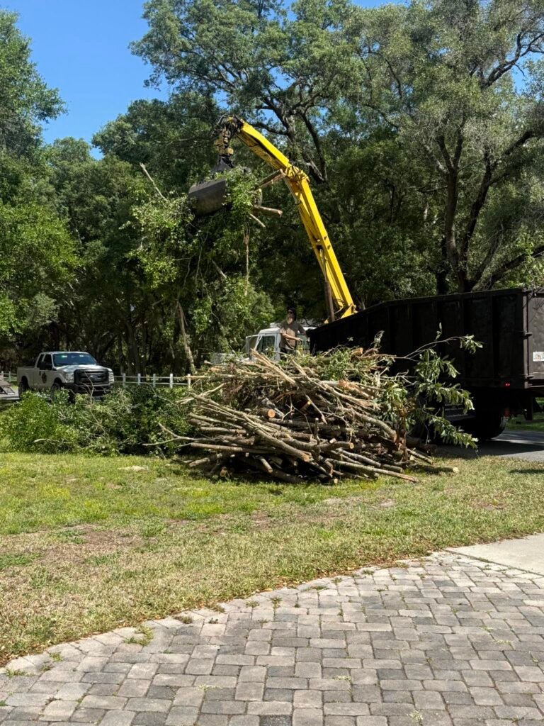 Tree debris removal in Volusia County, featuring a yellow crane lifting branches into a truck, with a pile of cut tree limbs in a grassy area.