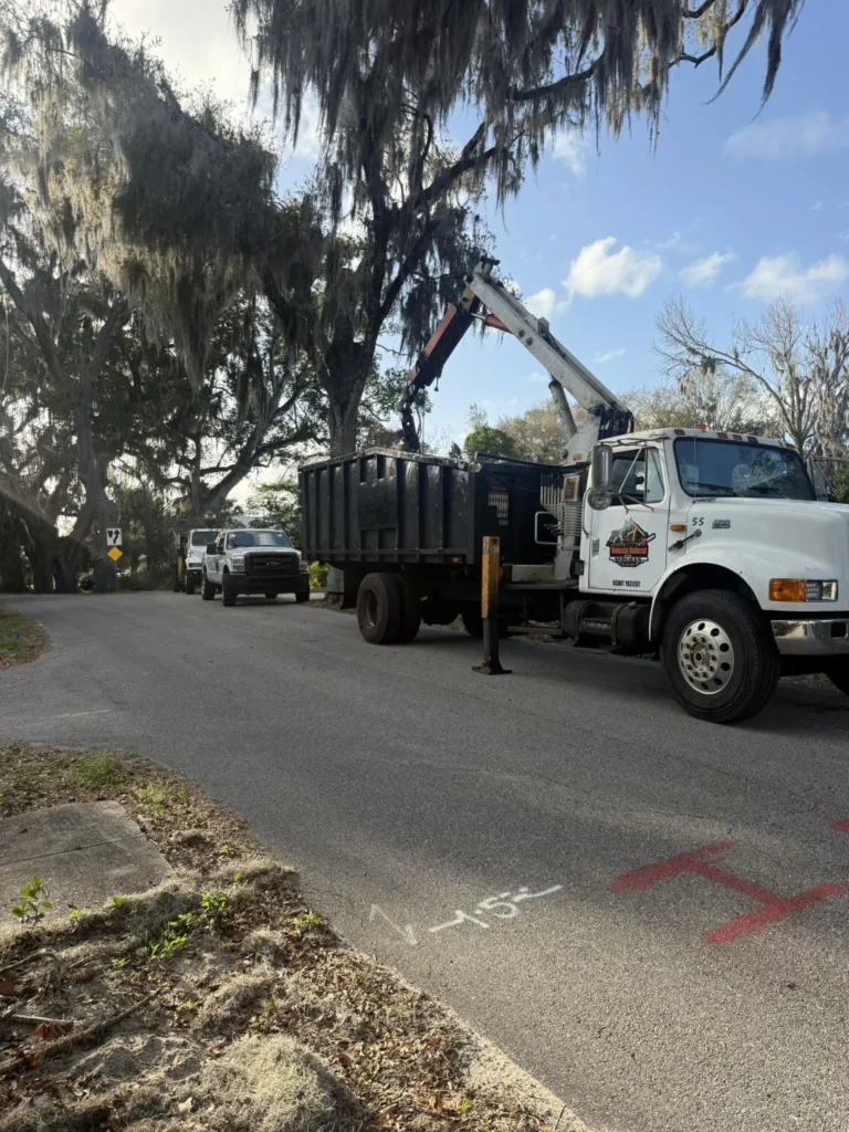 Hydraulic claw arm hauling brush and tree debris