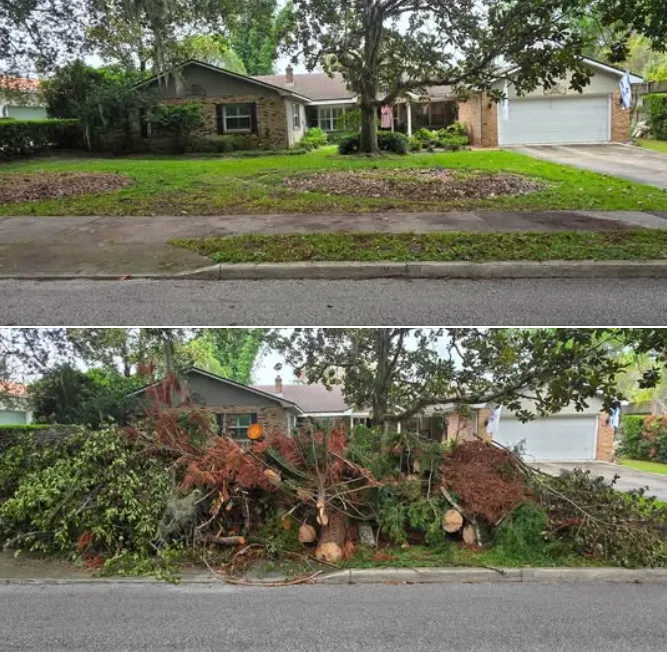 Volusia Bobcat & Tree Service demonstrates brush removal and land clearing services for a residential