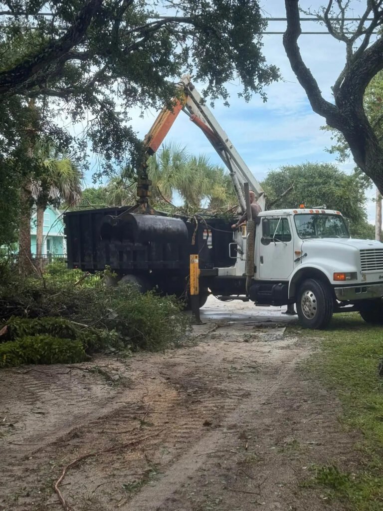 A truck with a crane lifting tree branches in a park setting