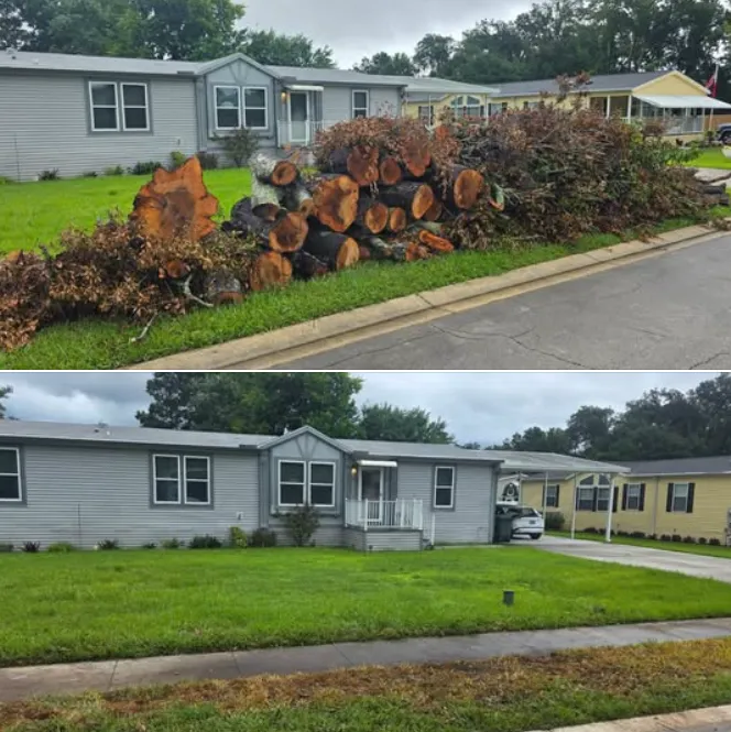 Cleared land and brush debris piled near a residential property in Volusia County, Florida, showcasing
