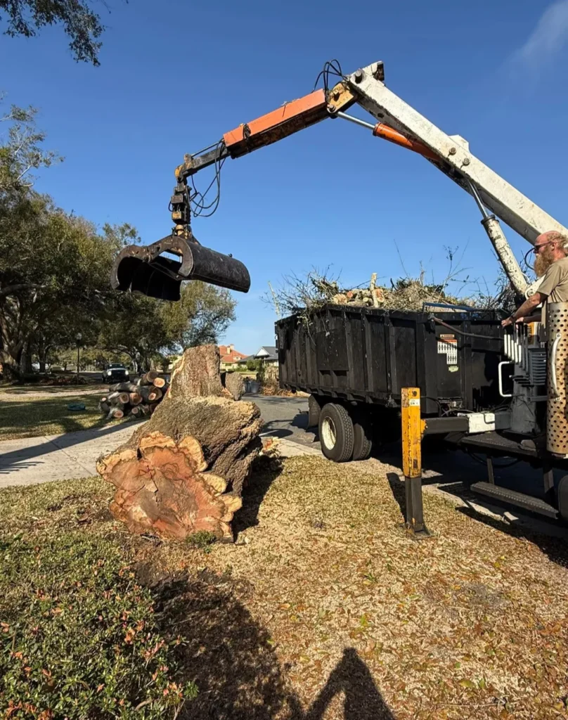 Grapple truck operator using hydraulic claw to lift and load tree debris into a truck