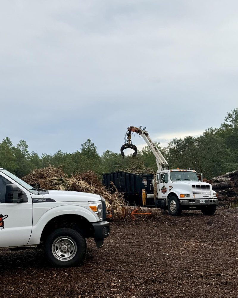 Grapple truck in action lifting debris at a cleanup site, with a second truck in the foreground, showcasing Volusia Grapple's waste disposal services for storm cleanup and land clearing.